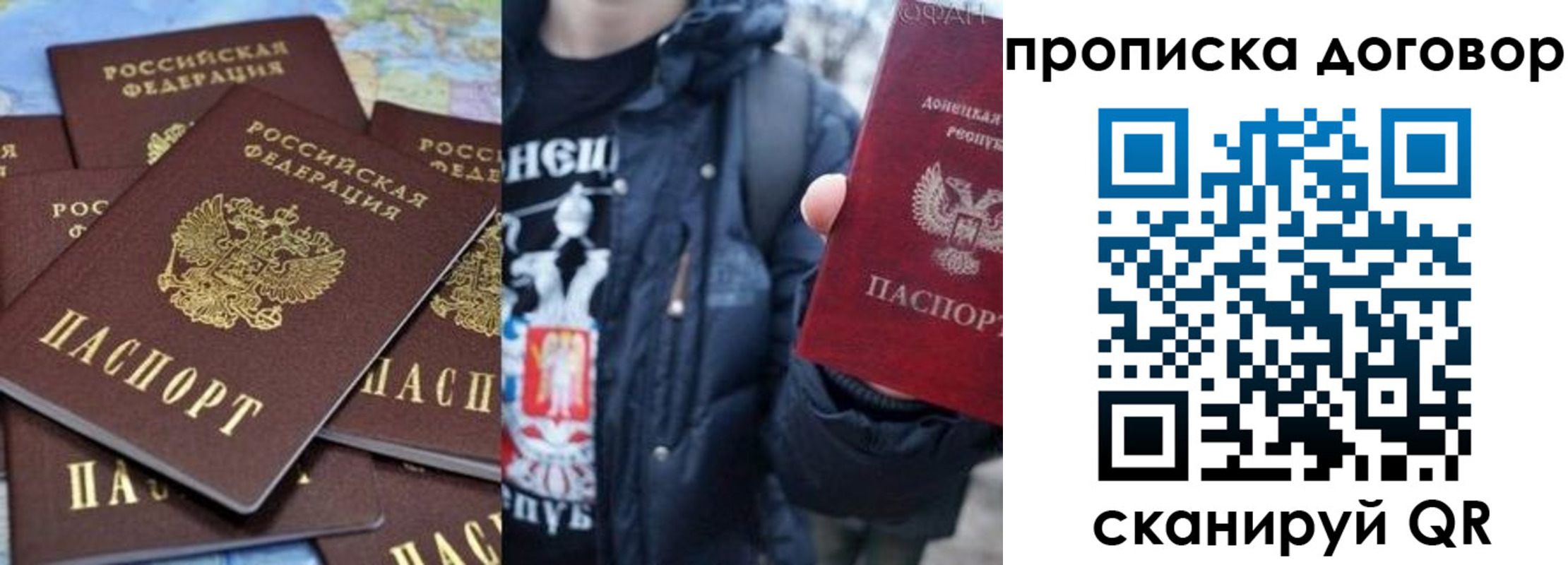 прописка поиск в Волосово